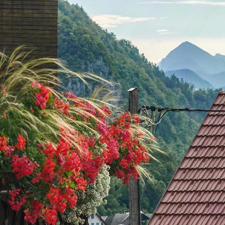 Apartma Bela Bohinjska Bela Ngoại thất bức ảnh